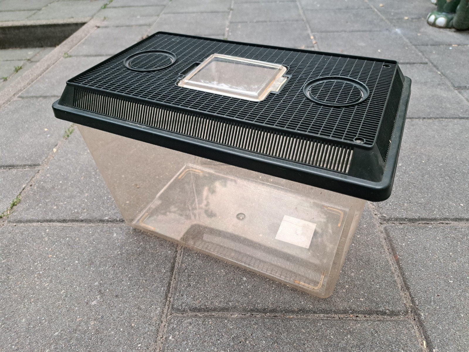 Terrarium insectenbak, Dieren en Toebehoren
