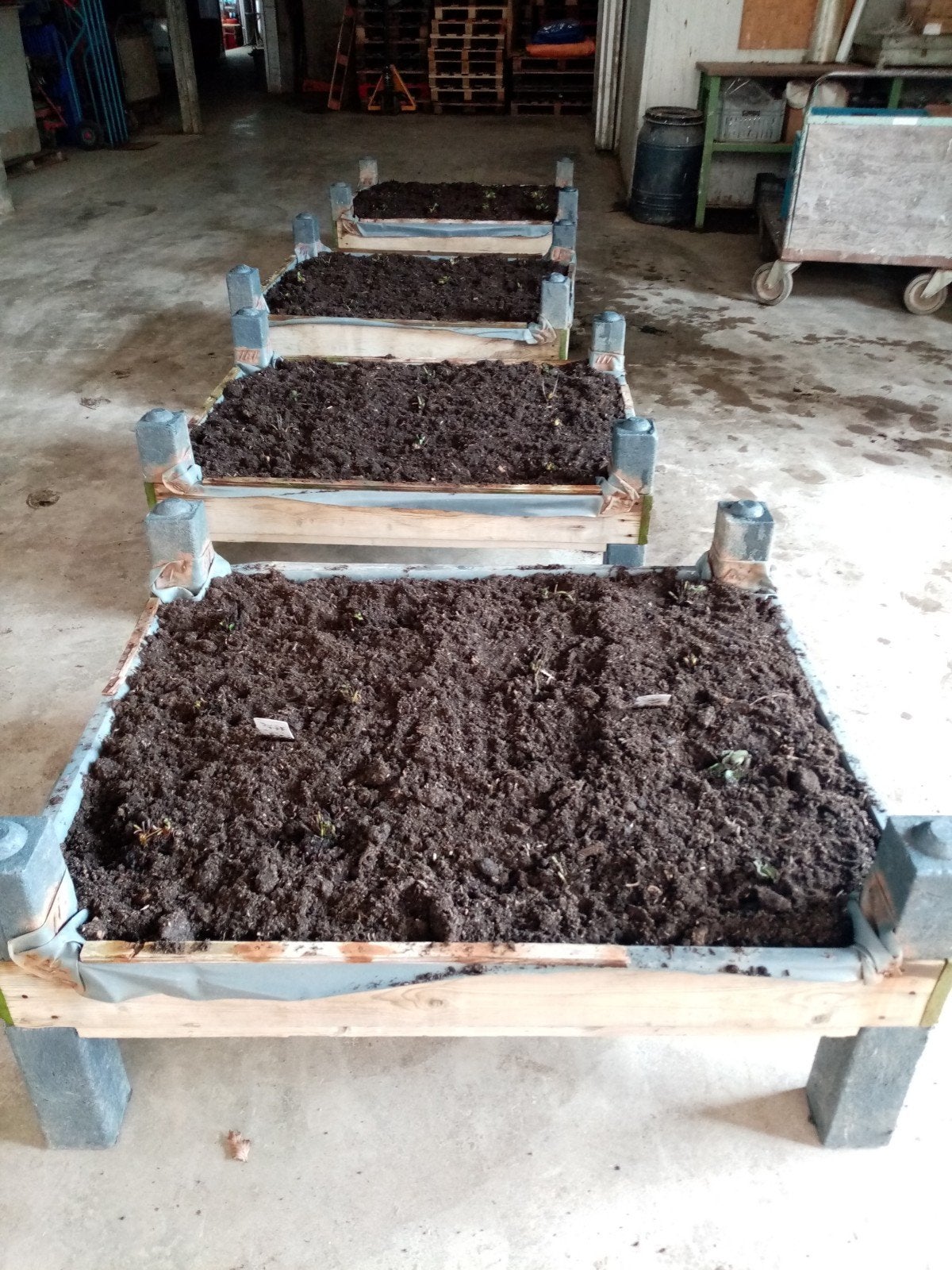 Stevige plantenbakken met waterafvoer voor tuin/balkon, Ophalen, Gebruikt, 100 cm of meer, Balkon
