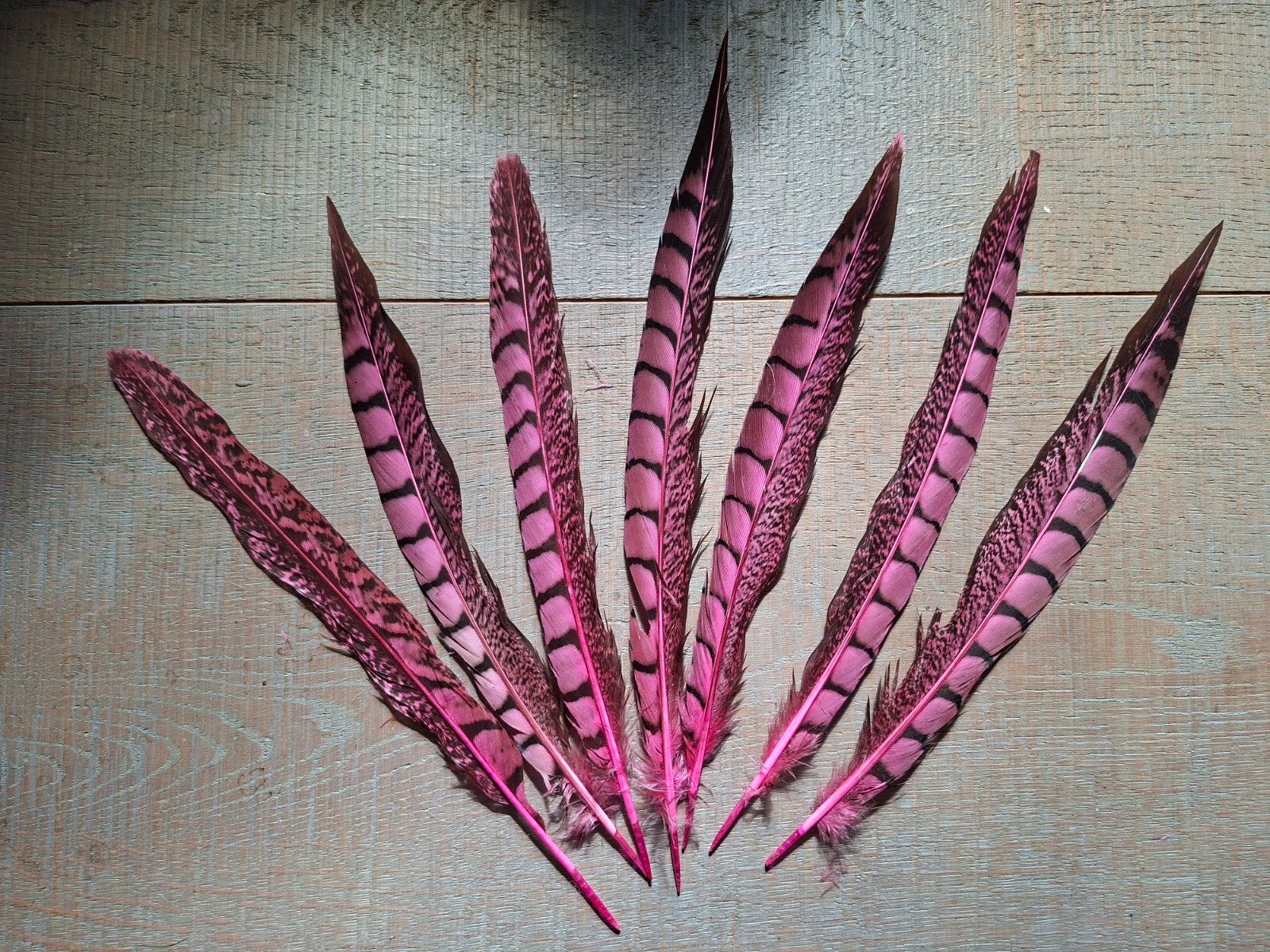 7 roze fazant veren ,veren carnaval feestje, Ophalen of Verzenden, Zo goed als nieuw, Nvt, Nvt