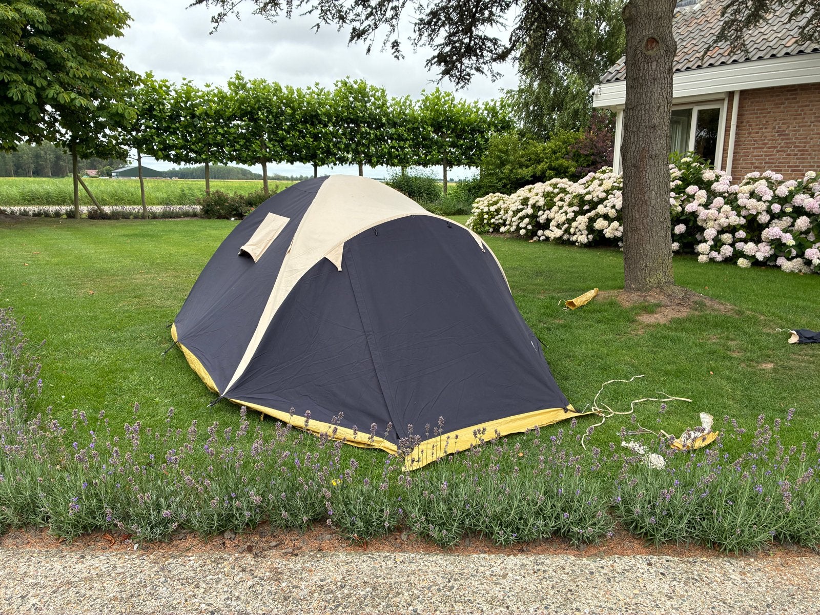 Obelink Ranger 2 Koepeltent - Compact en Comfortabel, Verzenden, Gebruikt, Tot en met 2