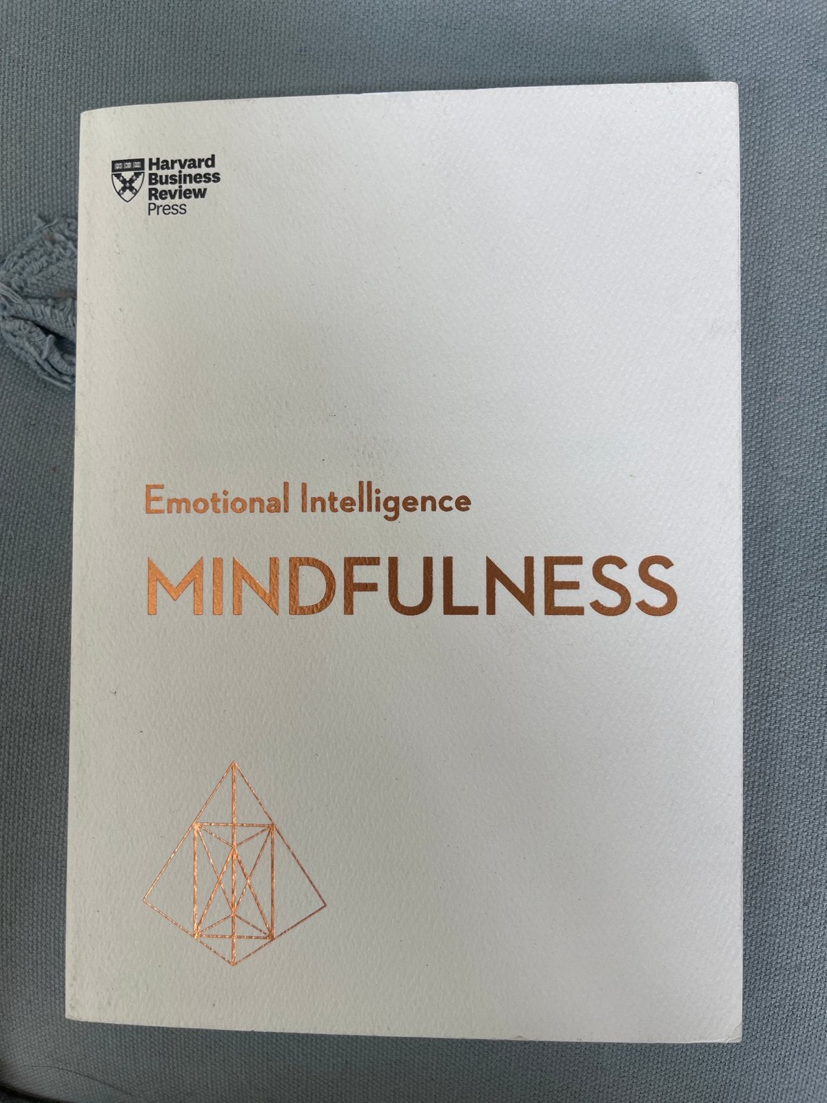 Emotional Intelligence: Mindfulness - Harvard Business Revie, Boeken, Ophalen, Zo goed als nieuw
