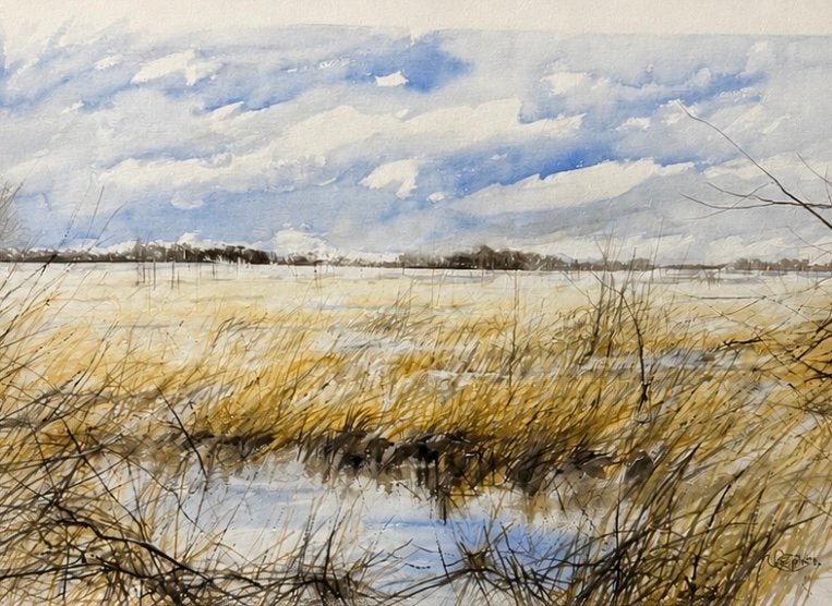 Aquarel 'De Groote Peel' - Landschap 50x60cm, Antiek en Kunst, Ophalen of Verzenden