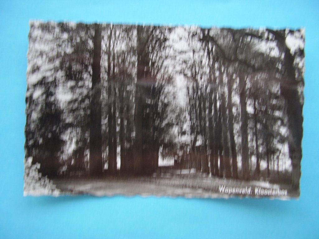 Wapenveld,  Kloosterbos, Verzamelen, Ansichtkaarten | Nederland, Verzenden, Voor 1920, Noord-Brabant