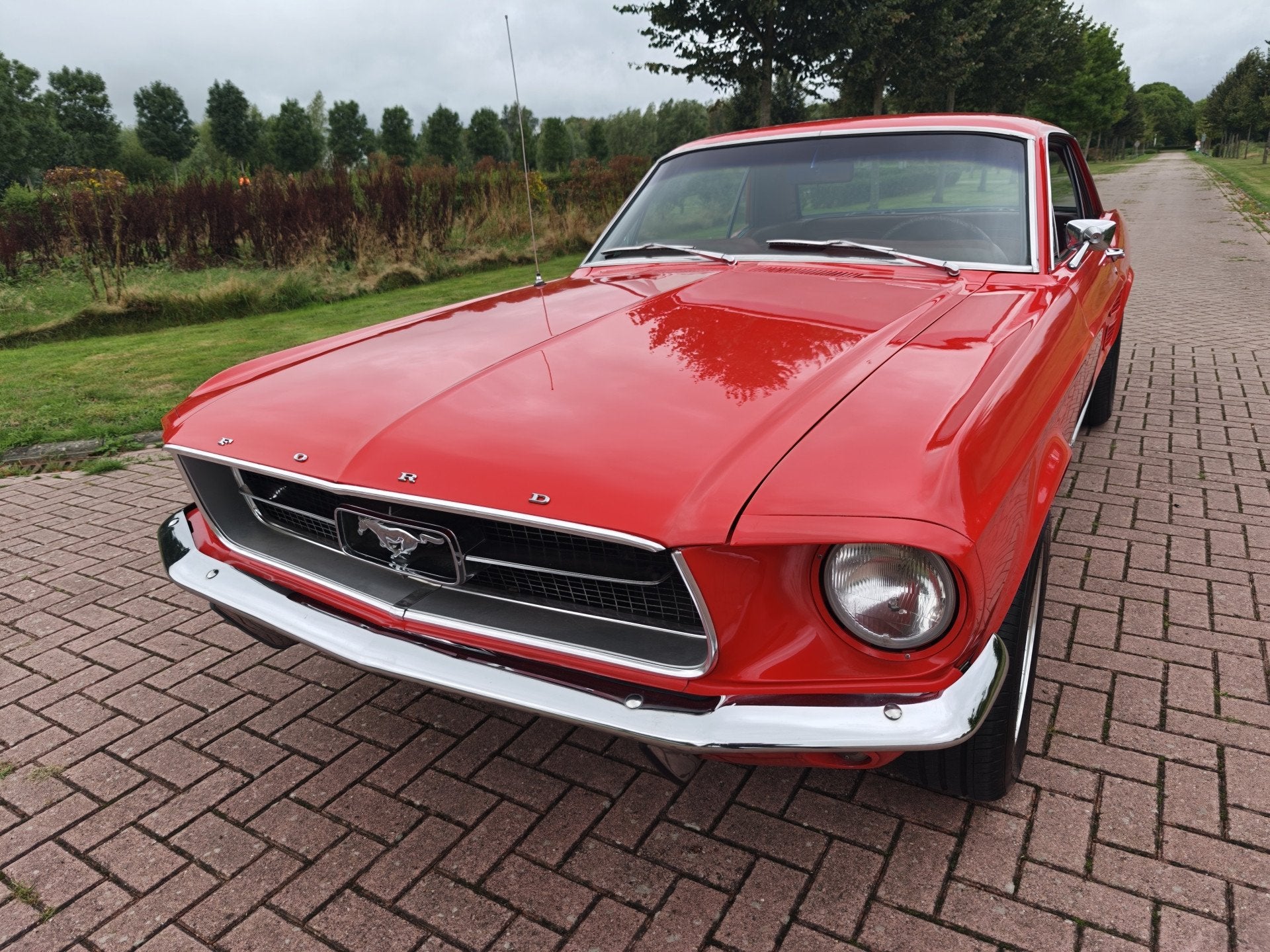 Ford Mustang HARDTOP 289 V8 COUPE A CODE! (bj 1967), foto 5