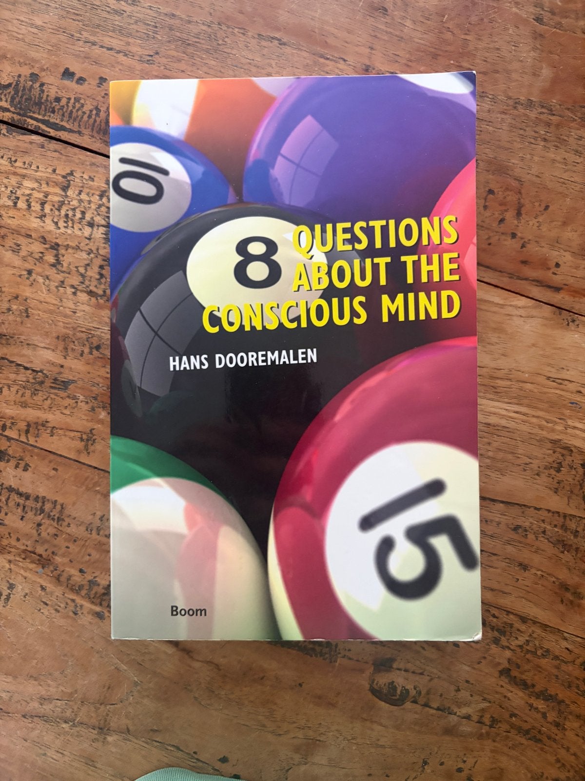 8 Questions About the Conscious Mind - Hans Dooremalen, Boeken, Filosofie, Ophalen of Verzenden, Zo goed als nieuw, Wijsbegeerte of Ethiek