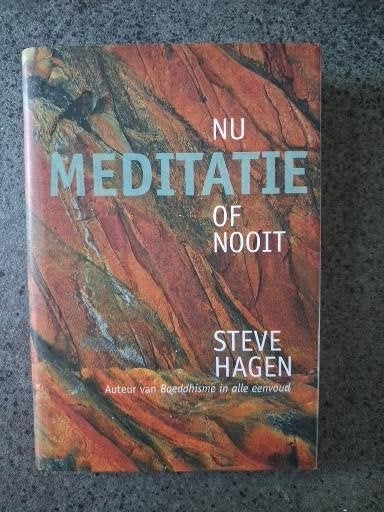 Nu meditatie of nooit, Meditatie of Yoga, Nieuw, Ophalen of Verzenden, Steve Hagen