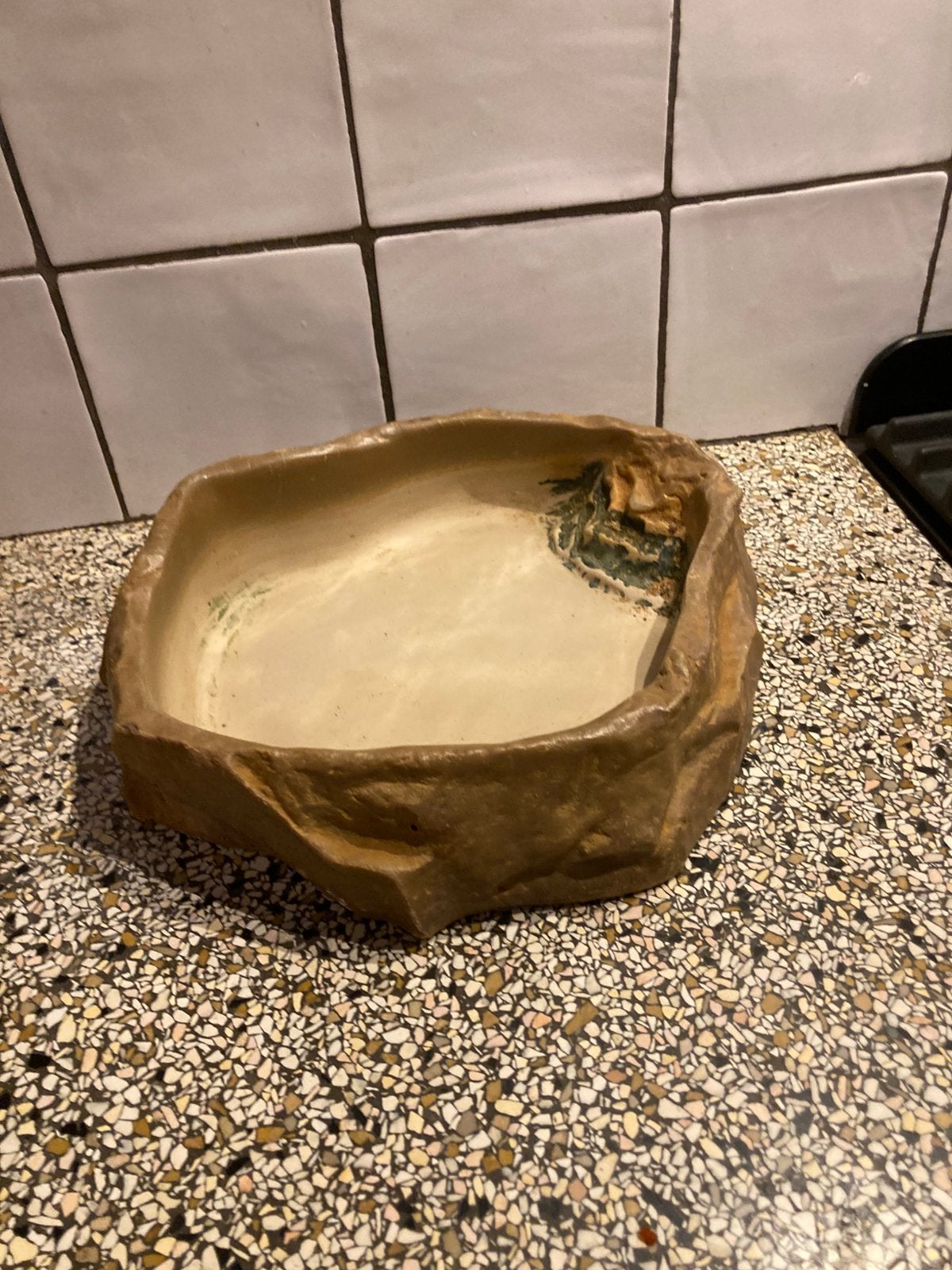 Bak voor in terrarium, Dieren en Toebehoren, Ophalen of Verzenden