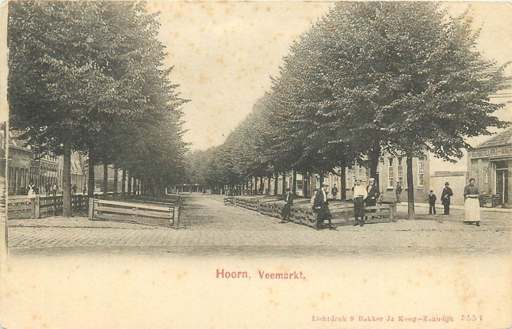 701-084-005 Hoorn Veemarkt, Verzamelen, Ophalen of Verzenden, Voor 1920, Noord-Holland