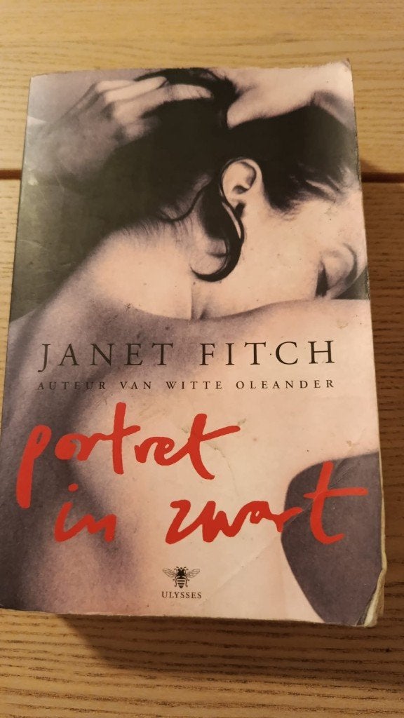 Portret in Zwart - Janet Fitch (roman), Janet Fitch, Wereld overig, Ophalen of Verzenden, Zo goed als nieuw