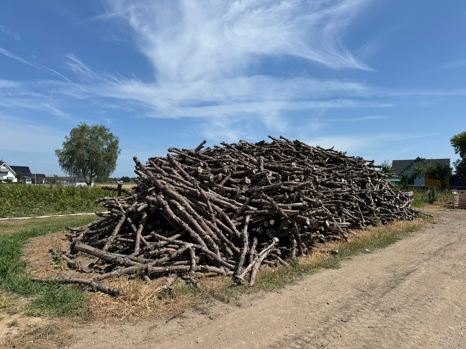 Appelhout stammen te koop!, Tuin en Terras, Haardhout, 6 m³ of meer, Ophalen, Overige houtsoorten, Stammen