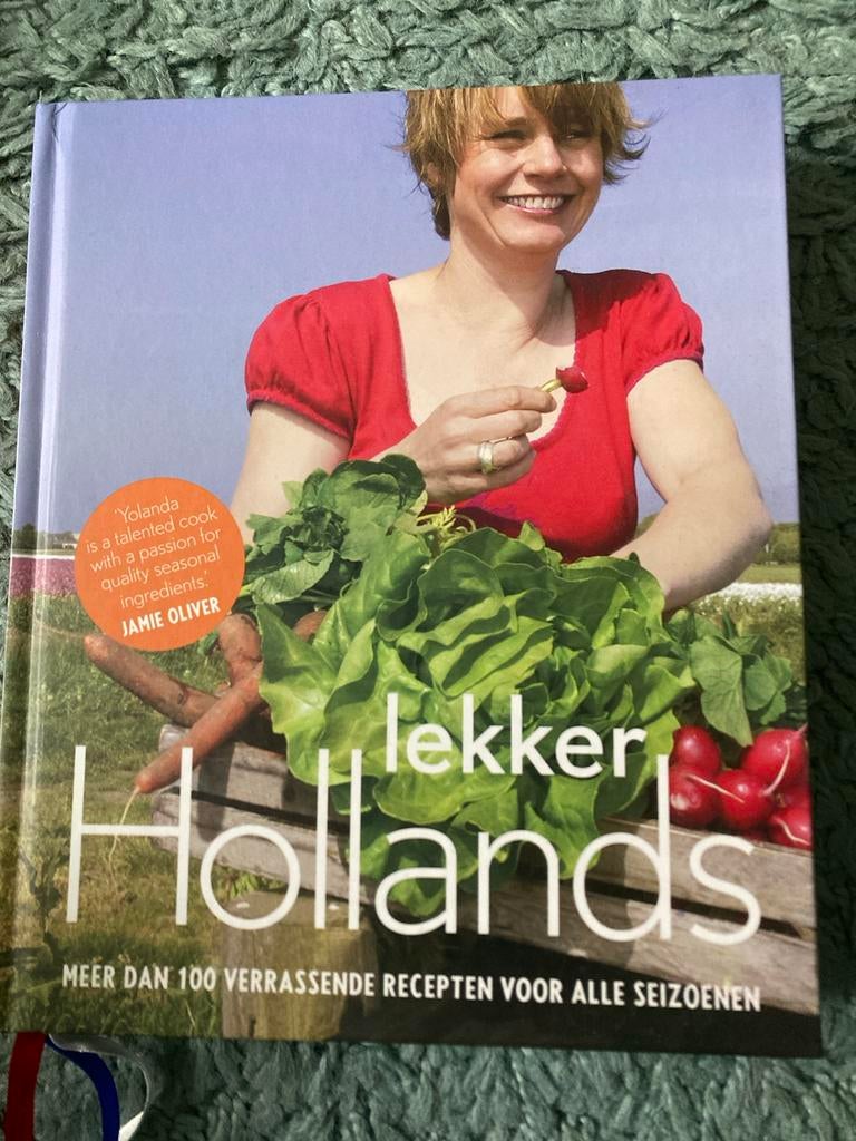 Y. van der Jagt - Lekker Hollands, Ophalen of Verzenden, Zo goed als nieuw, Y. van der Jagt; J. Franken