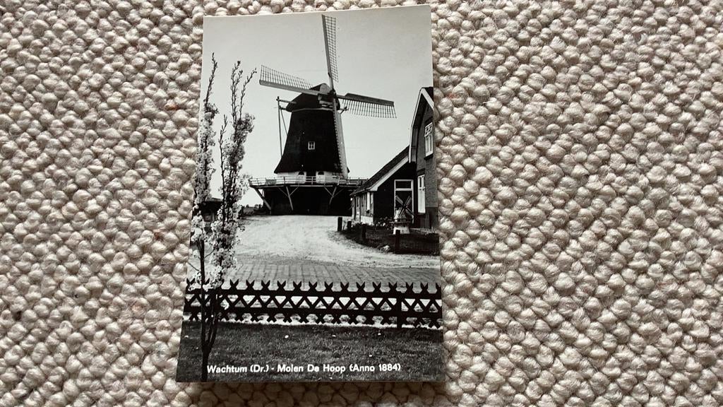 Ansichtkaart Wachtum Molen De Hoop. 923, Ophalen of Verzenden, 1940 tot 1960, Ongelopen, Drenthe
