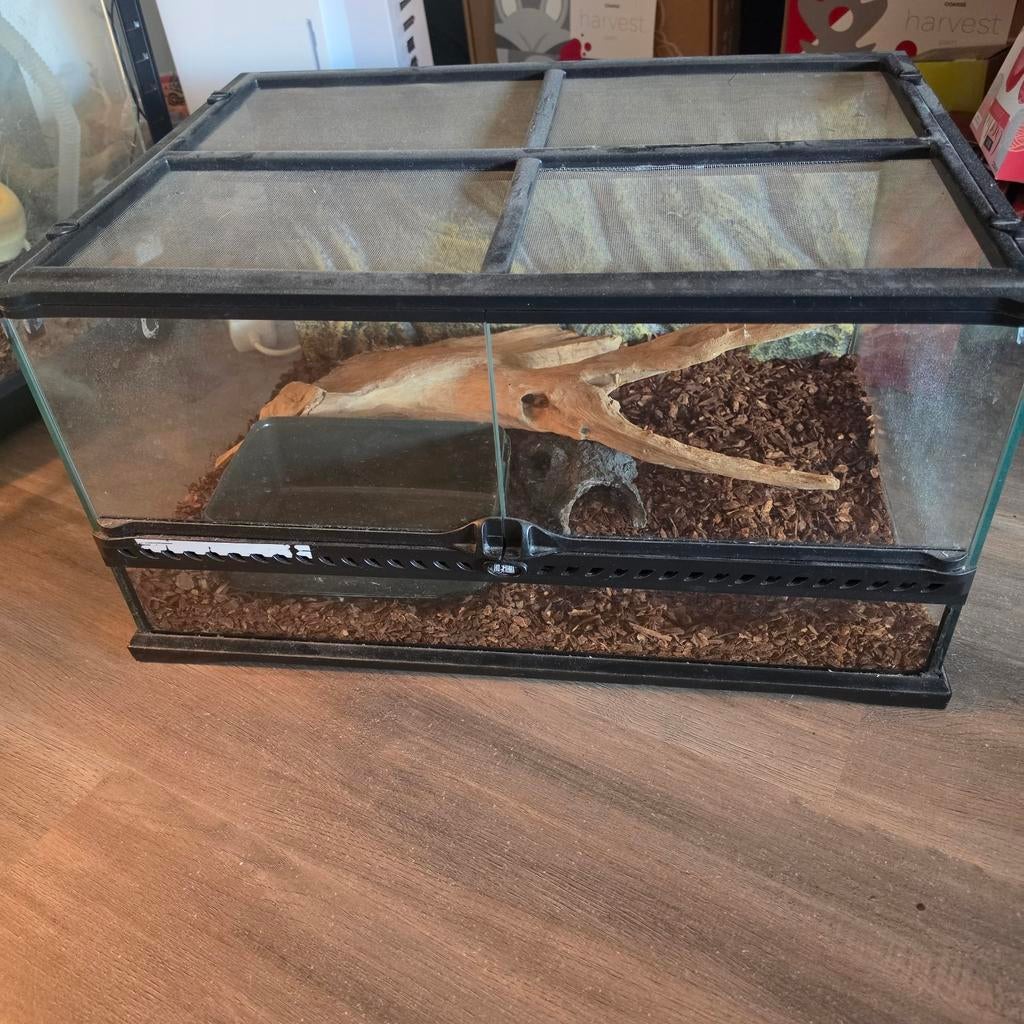 EXO TERRA TERRARIUM 60cm wide 30cm height 45cm, Dieren en Toebehoren, Ophalen