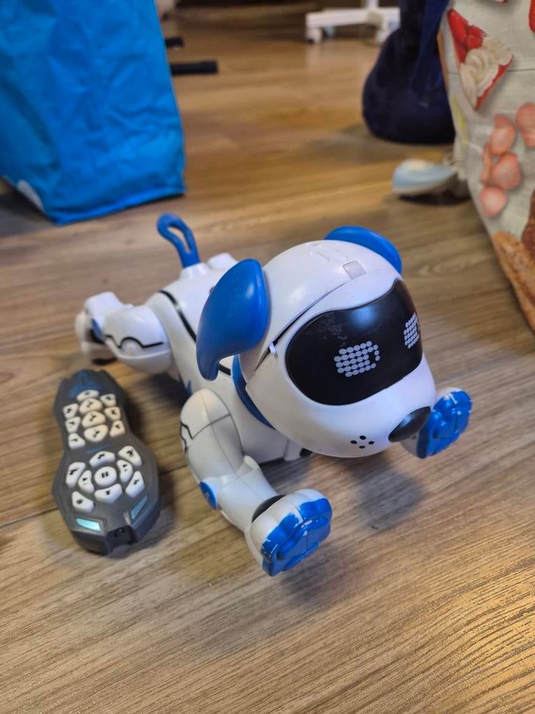 Leuke robothond met afstandsbediening, Ophalen, Gebruikt, Jongen of Meisje