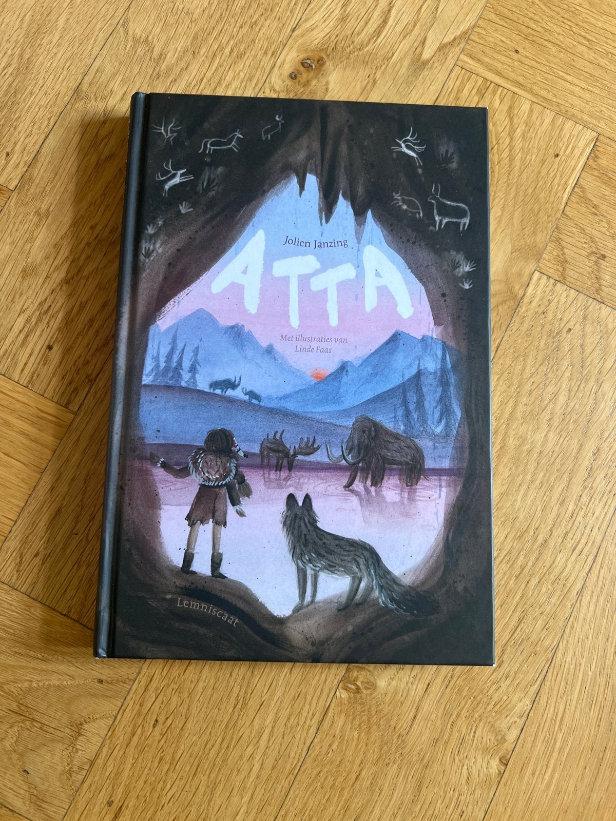 Atta - Joliene Janzing - Avontuurlijk jeugdboek, Ophalen of Verzenden, Zo goed als nieuw, Fictie algemeen
