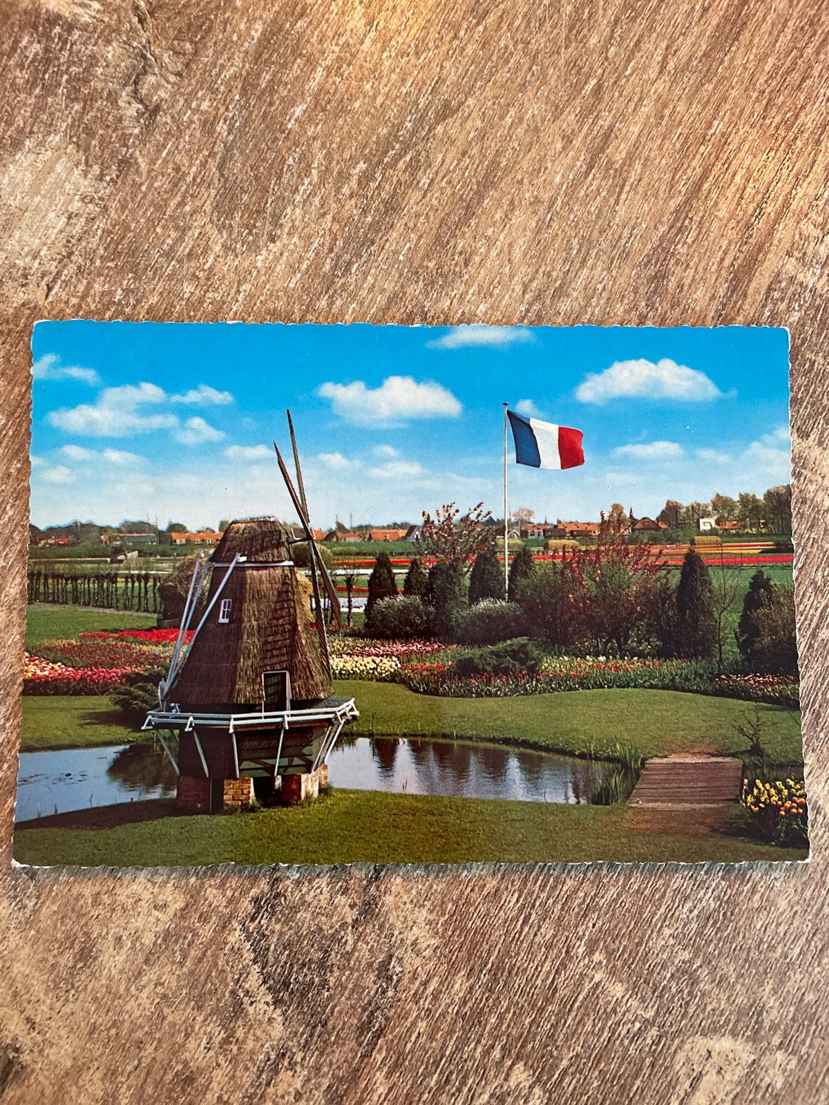 Vintage Ansichtkaart Holland: Molen, Tulpen en Vlag, Ophalen of Verzenden, 1960 tot 1980, Ongelopen