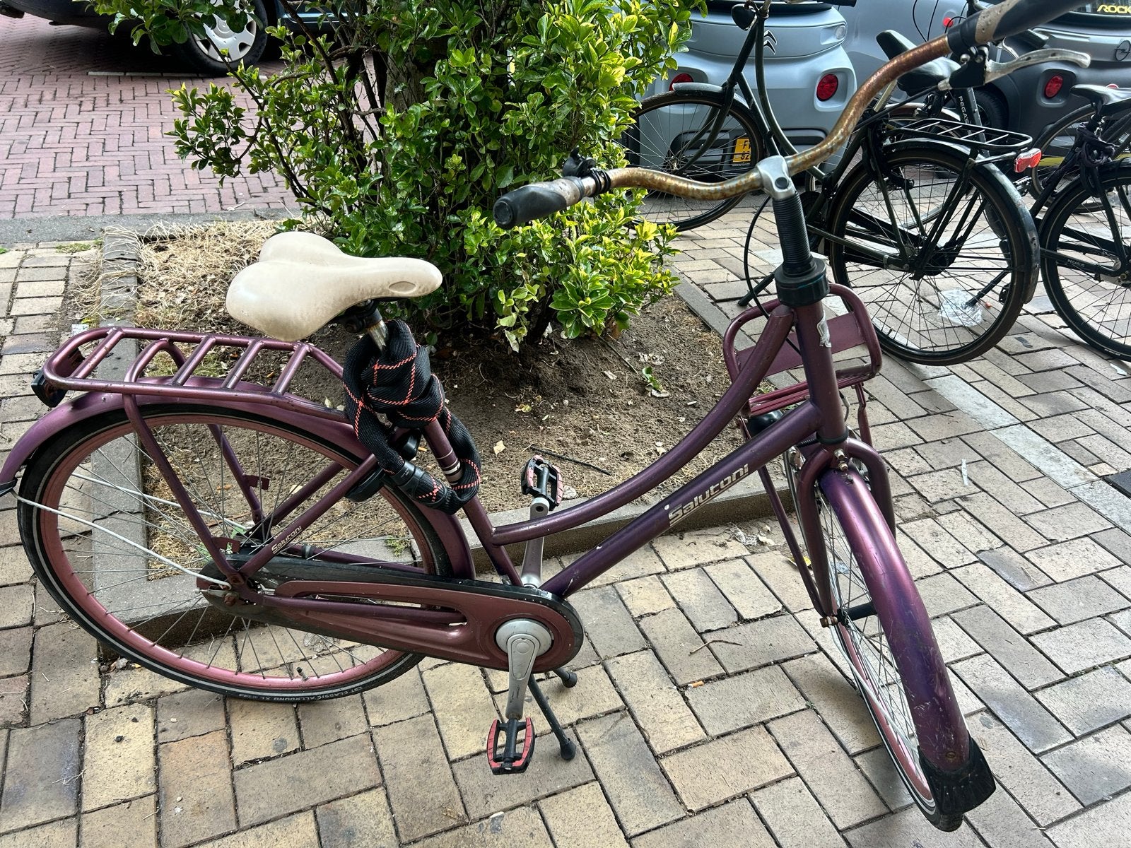 Saluroni Damesfiets - Paars/Roze - Gebruikt, Terugtraprem, Gebruikt, 50 tot 53 cm, Ophalen