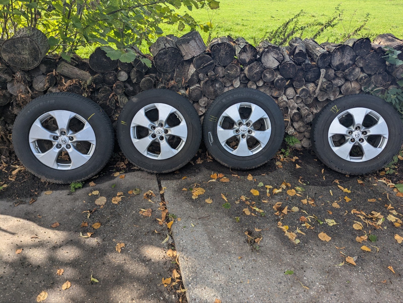 Toyota rav4 velgen met winterbanden 225/65/17, Ophalen, Toyota