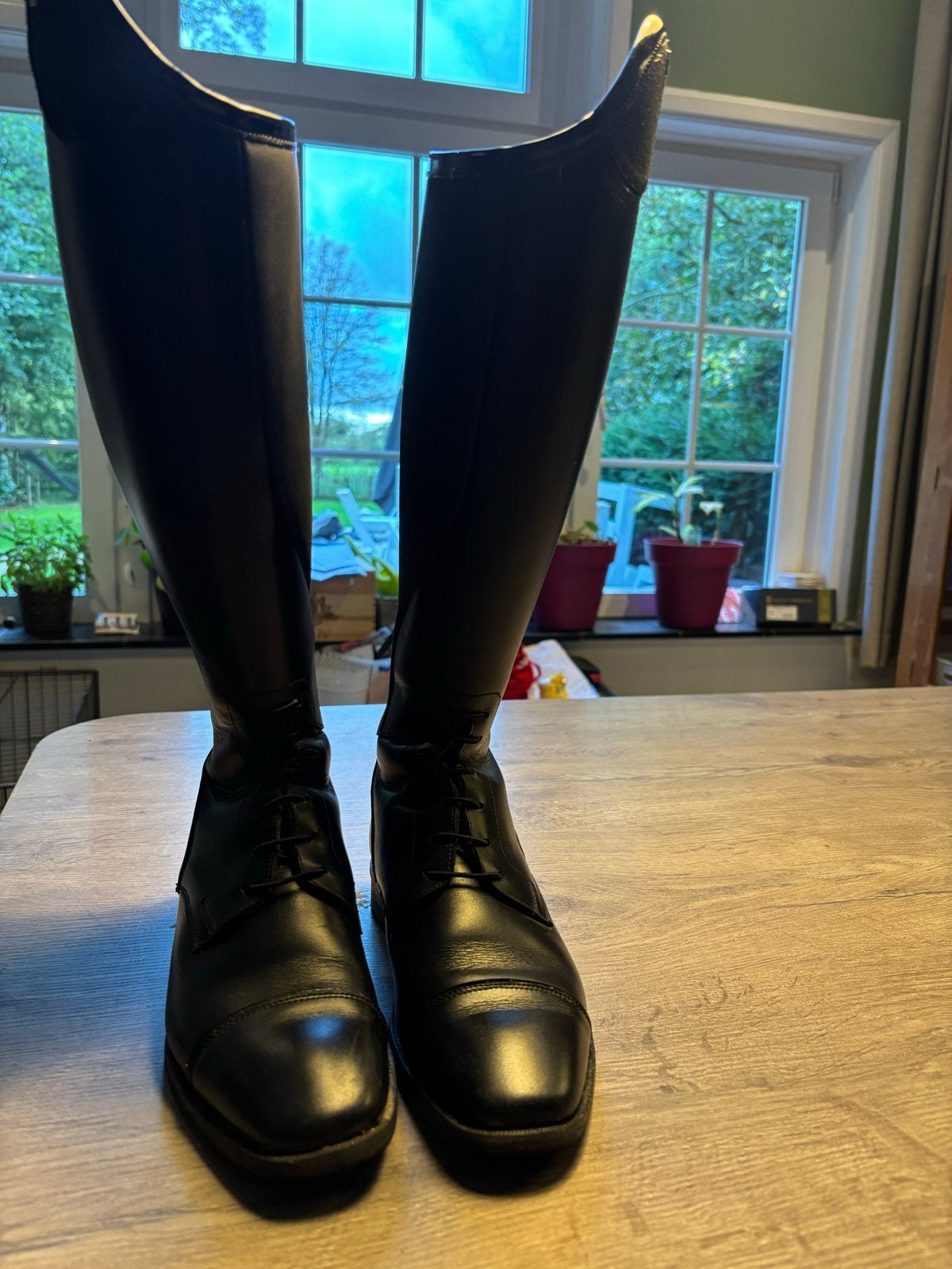 Dressuurlaarzen merk Petrie, Ophalen of Verzenden, Zo goed als nieuw, Dressuur