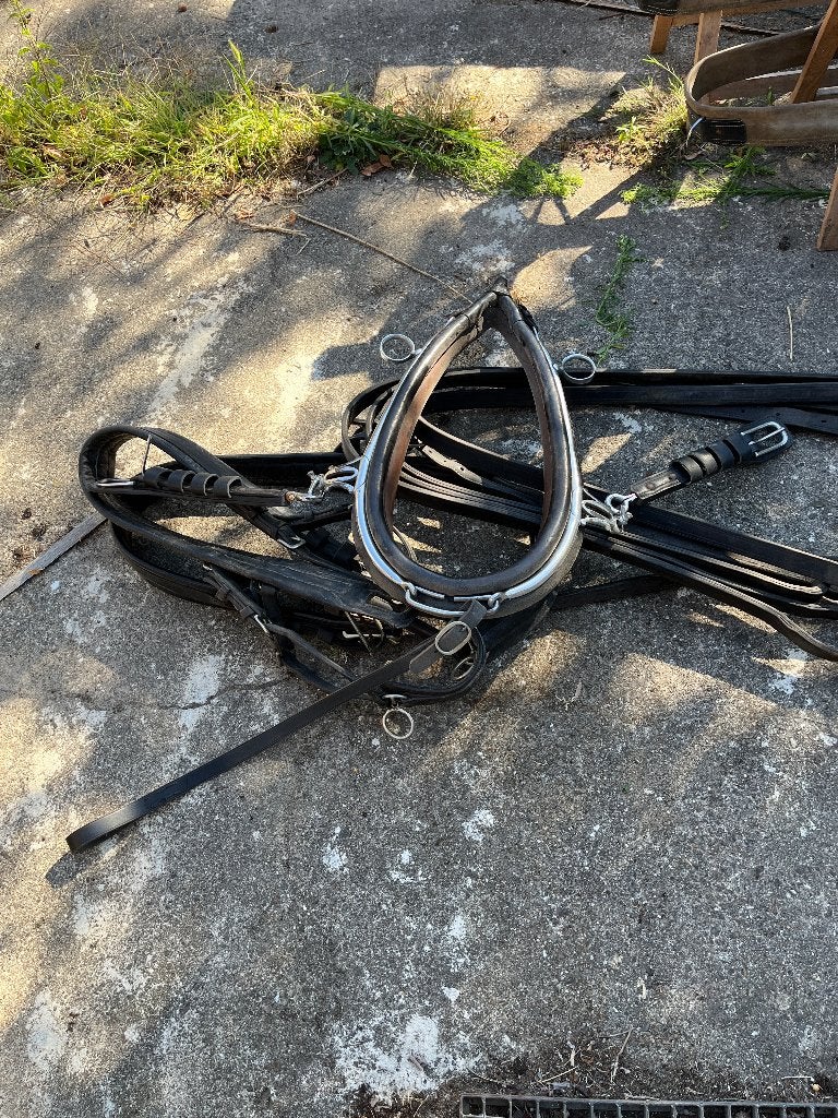losse borsten en gareel, Dieren en Toebehoren, Paarden en Pony's | Hoofdstellen en Tuigage, Ophalen of Verzenden, Gebruikt, Borsttuig