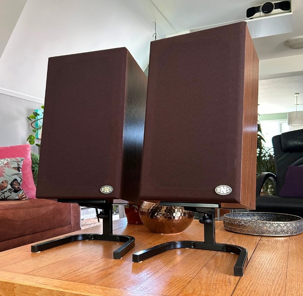 BNS E2.2 - near mint -, Zo goed als nieuw, 60 tot 120 watt, Front, Rear of Stereo speakers, Ophalen