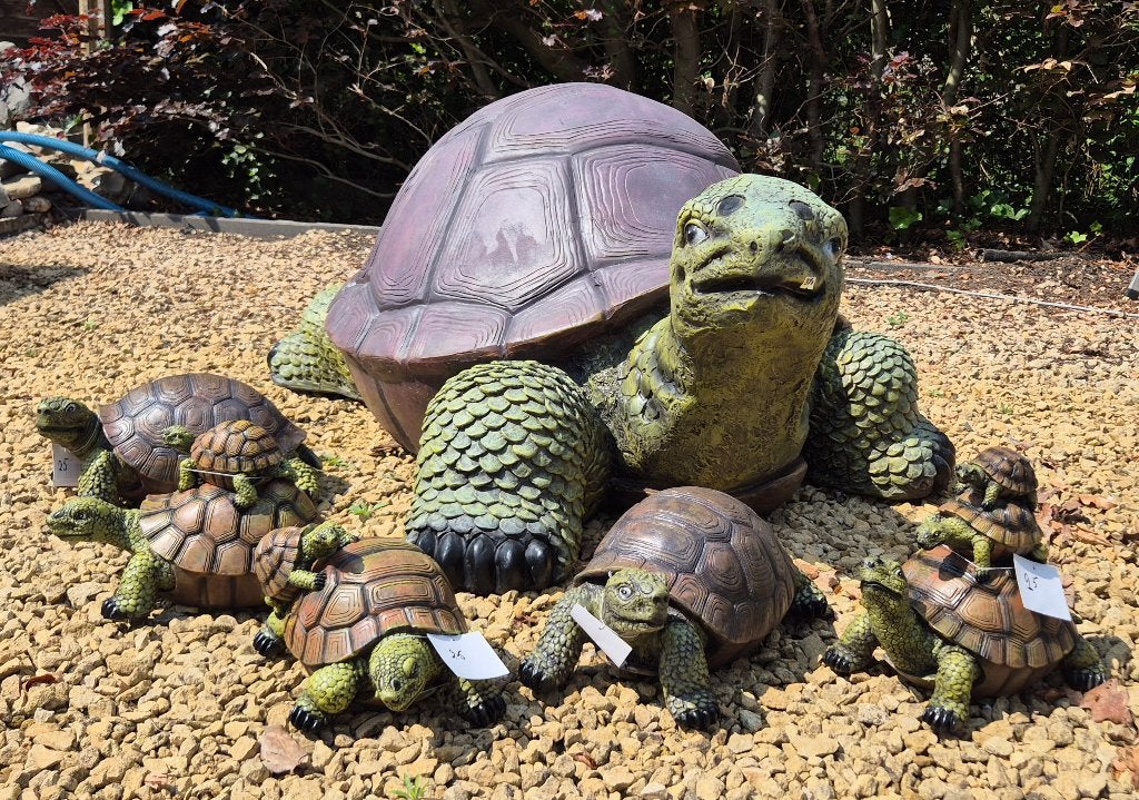 Polyester schildpadden, Ophalen, Nieuw, Kunststof, Dierenbeeld