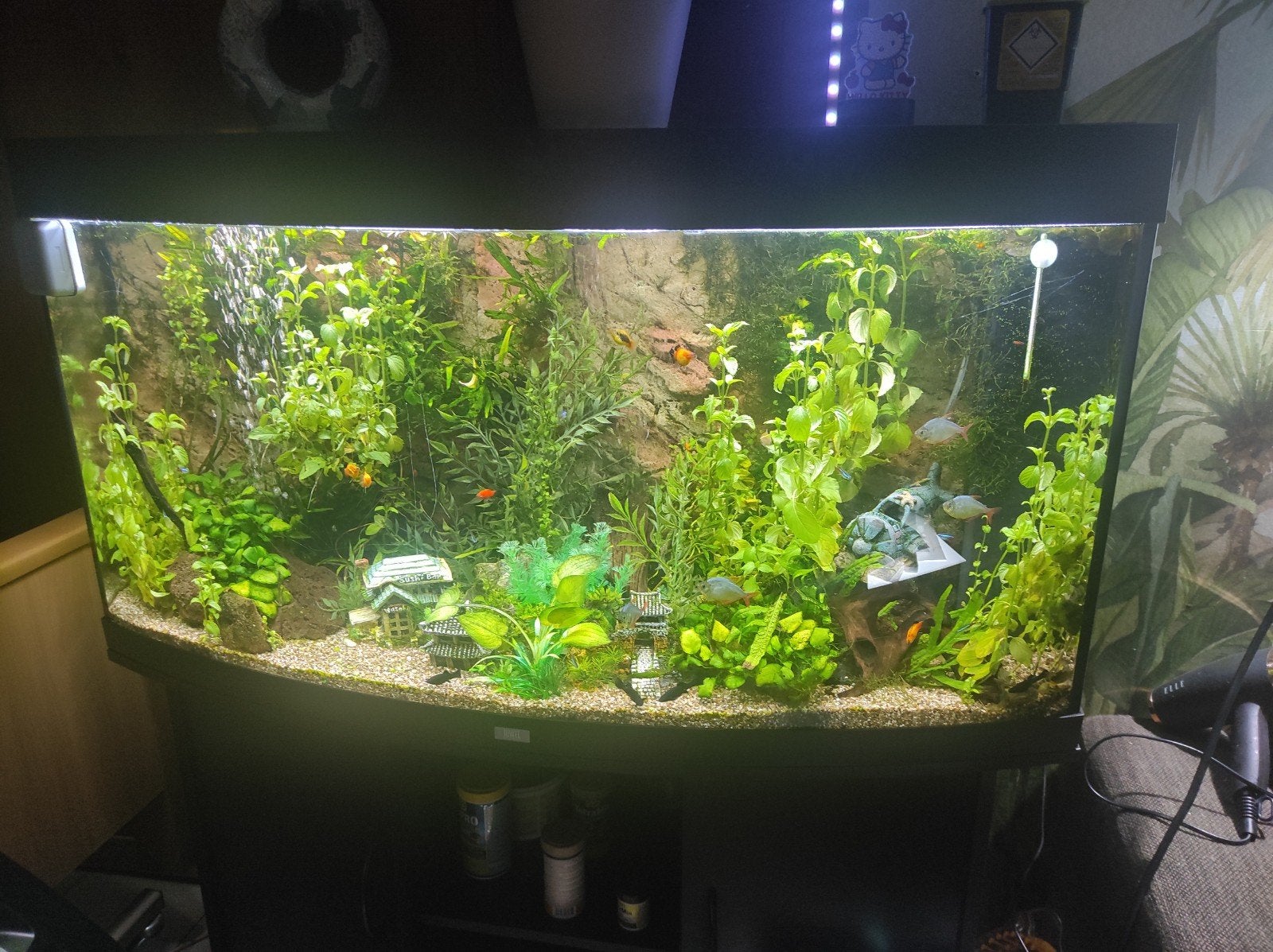 Groot tropisch visaquarium, Ophalen, Inclusief vissen, Juwel, Gevuld zoetwateraquarium