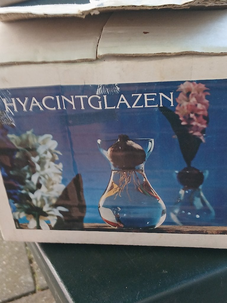 2 hyacintglazen, Ophalen of Verzenden, Nieuw