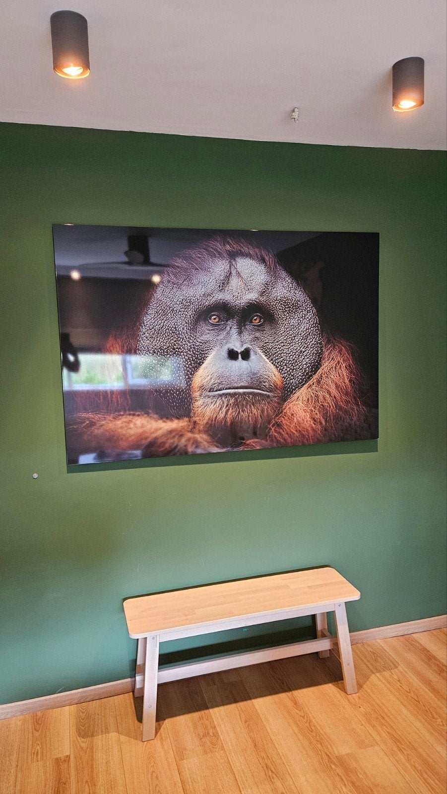 Smart monkey icon art, plexiglas groot, Ophalen of Verzenden