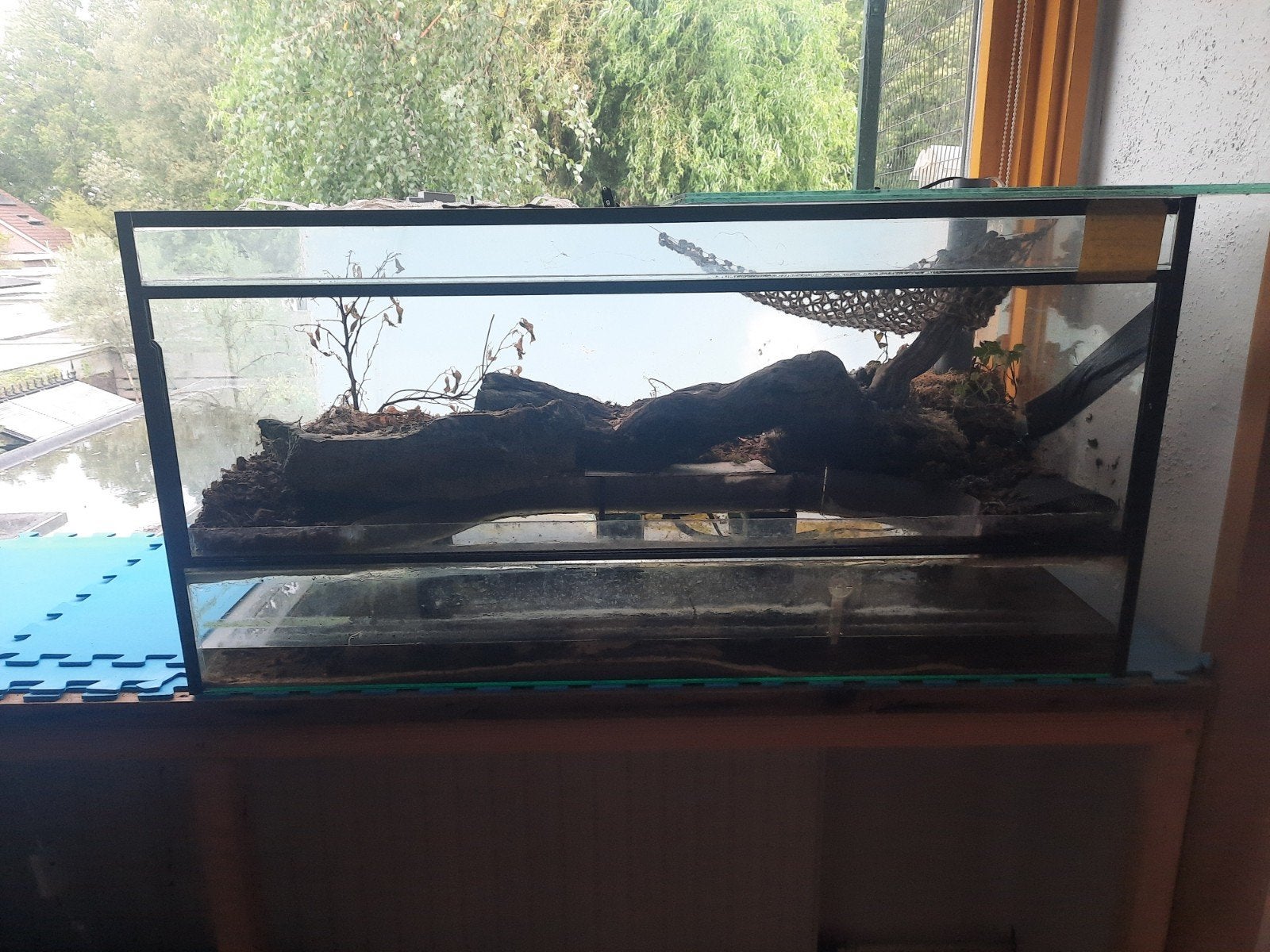 Terrarium 100x50x50cm, Ophalen, Gebruikt, Terrarium of Paludarium