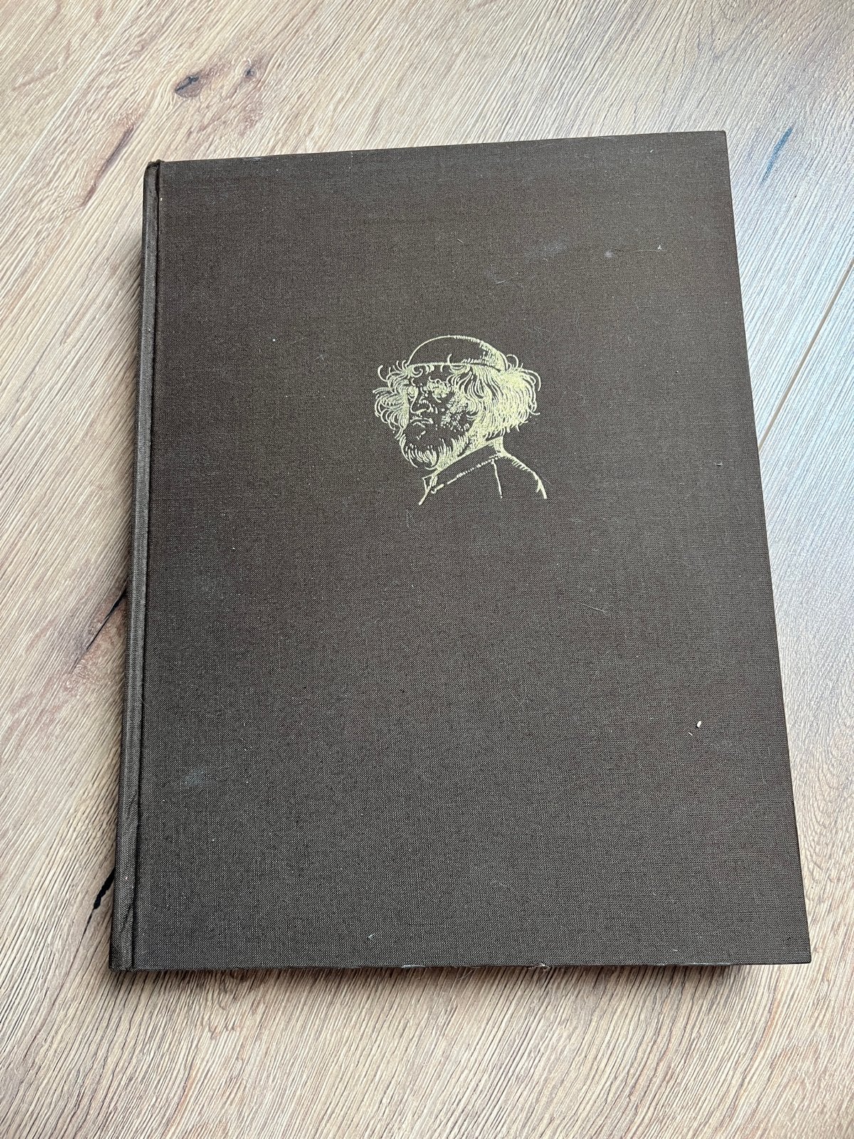 Pieter Brueghel Boek - Kunstgeschiedenis, Boeken, Ophalen of Verzenden, Gelezen, Schilder- en Tekenkunst