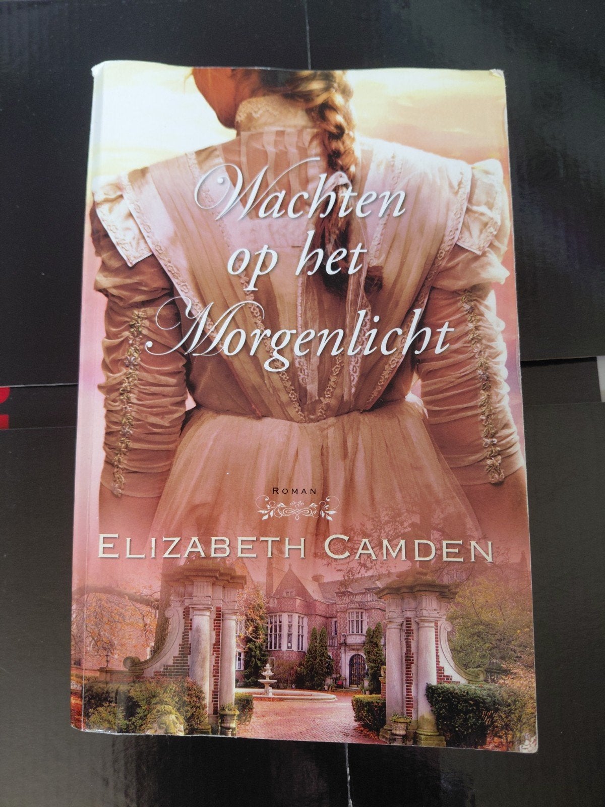 Elizabeth Camden - Wachten op het morgenlicht, Boeken, Ophalen of Verzenden, Gelezen, Elizabeth Camden