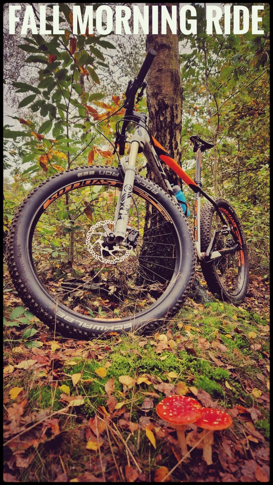 Scott Scale 710 Mountainbike - Hardtail, Gebruikt, Hardtail, Heren, Schijfrem