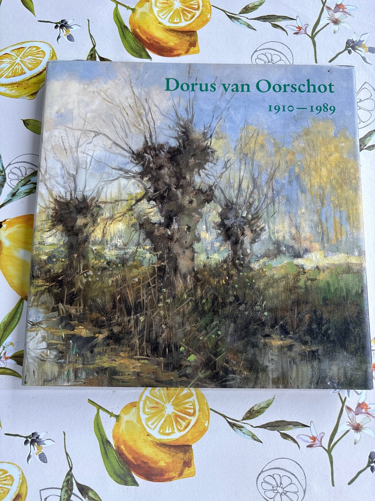 Dorus van Oorschot 1910-1989 - Kunstboek, Boeken, Ophalen of Verzenden, Gelezen, Overige onderwerpen