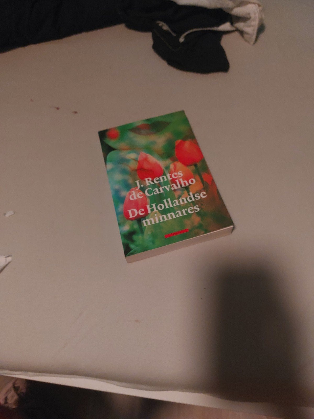 J. Rentes de Carvalho - De Hollandse minnares, Boeken, Ophalen, Zo goed als nieuw, J. Rentes de Carvalho