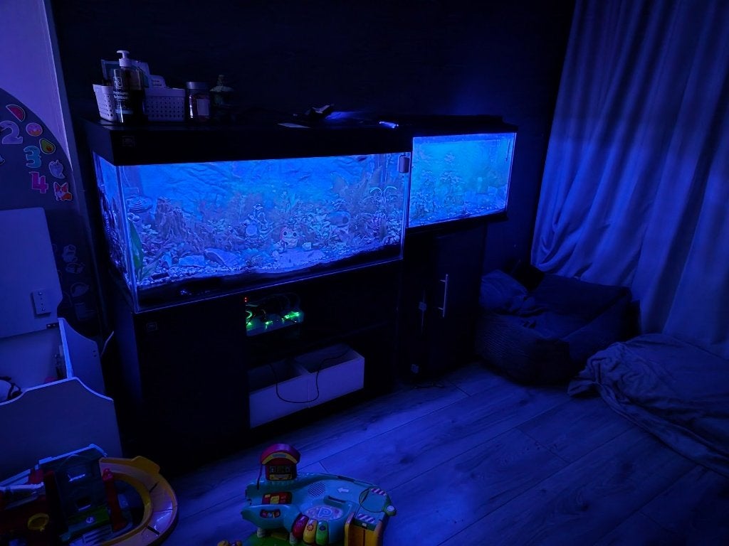 Juwel  RIO 180 en superfish 60 compleet, Ophalen, Gebruikt, Gevuld zoetwateraquarium, Inclusief vissen