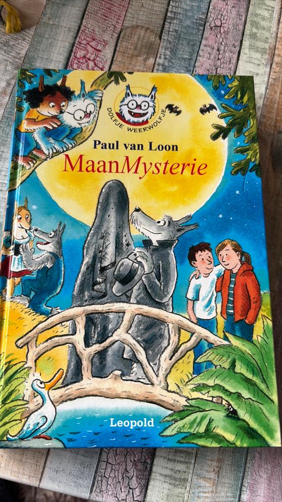 Paul van Loon - MaanMysterie, Boeken, Fictie algemeen, Paul van Loon, Ophalen of Verzenden, Zo goed als nieuw