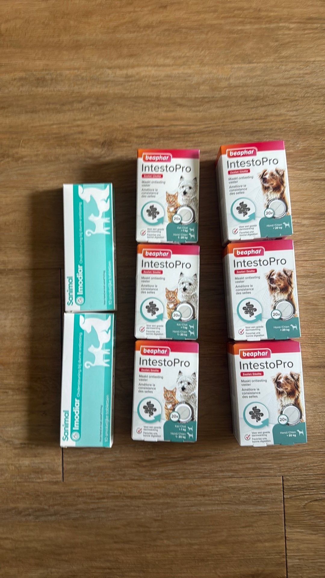 Diarreeremmer hond/kat, Ophalen of Verzenden, Nieuw