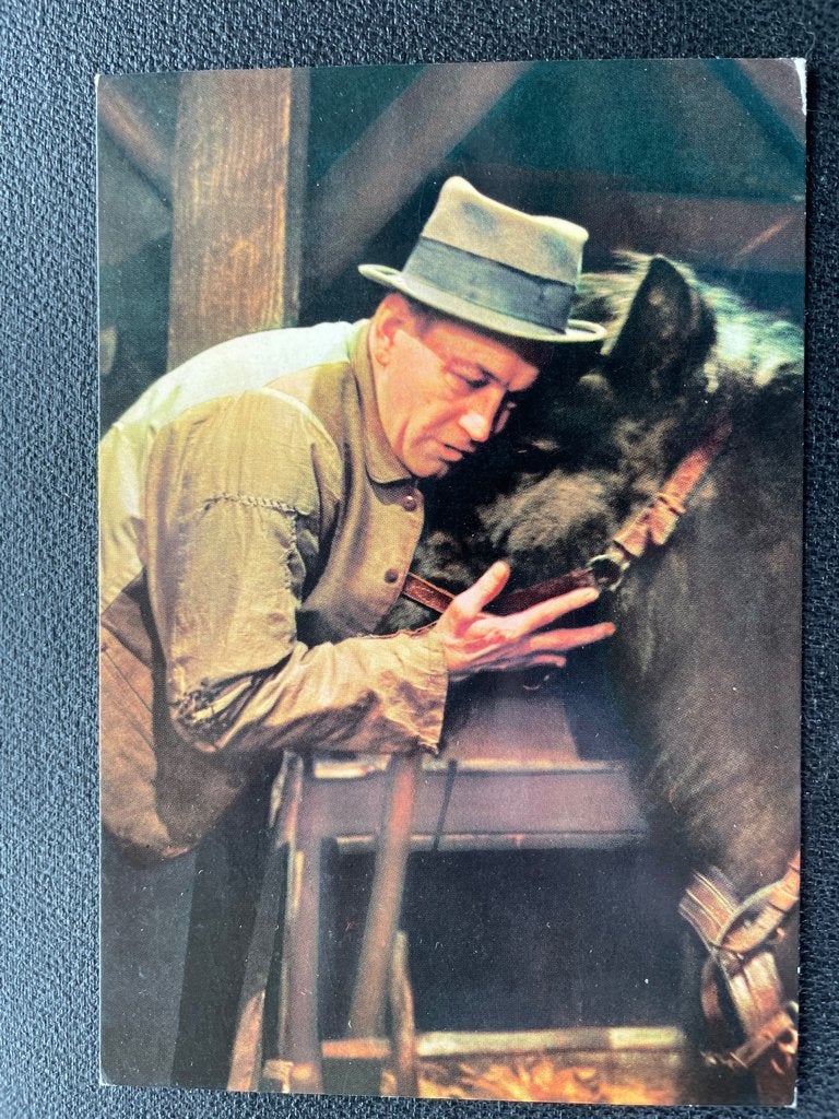 ansichtkaart / kaart van Stiefbeen en Zoon 9., Verzamelen, Verzenden, 1960 tot 1980, Sterren en Beroemdheden