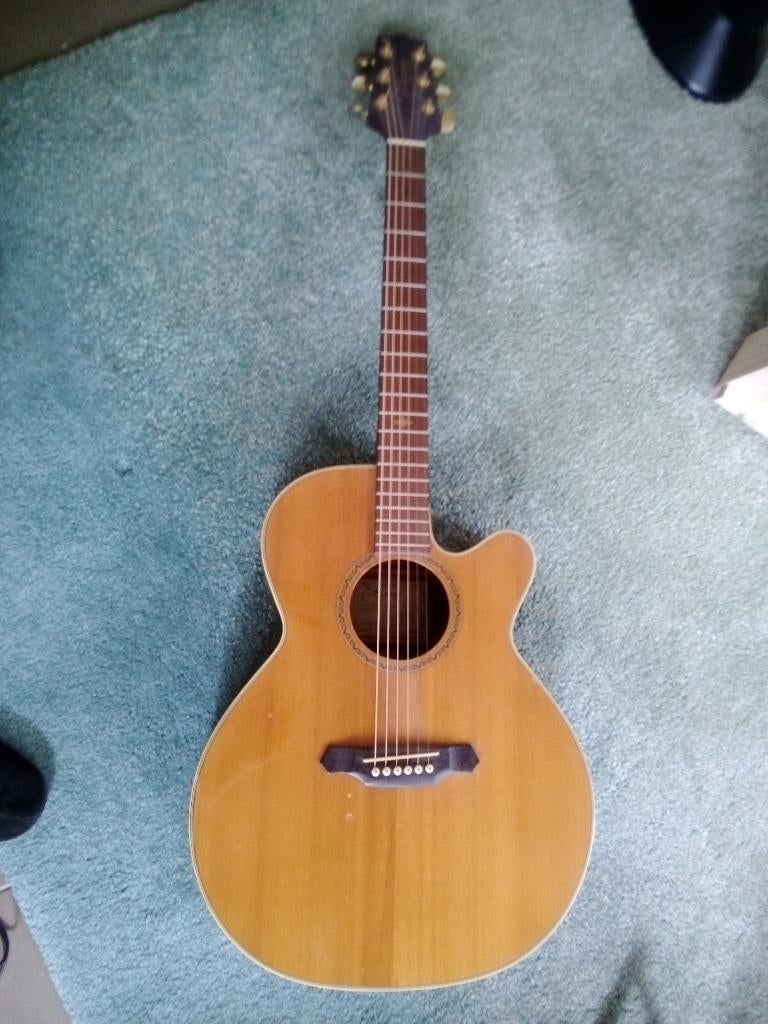 acoustisch gitaar Takamine ESG-45-SC, Muziek en Instrumenten, Ophalen, Gebruikt, Western- of Steelstringgitaar