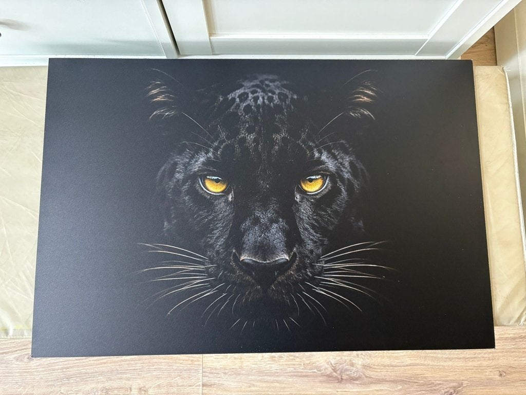 Prachtige panter op dibond 60 x 40cm - Nieuw!, Verzenden, Nieuw, 50 tot 75 cm, Schilderij