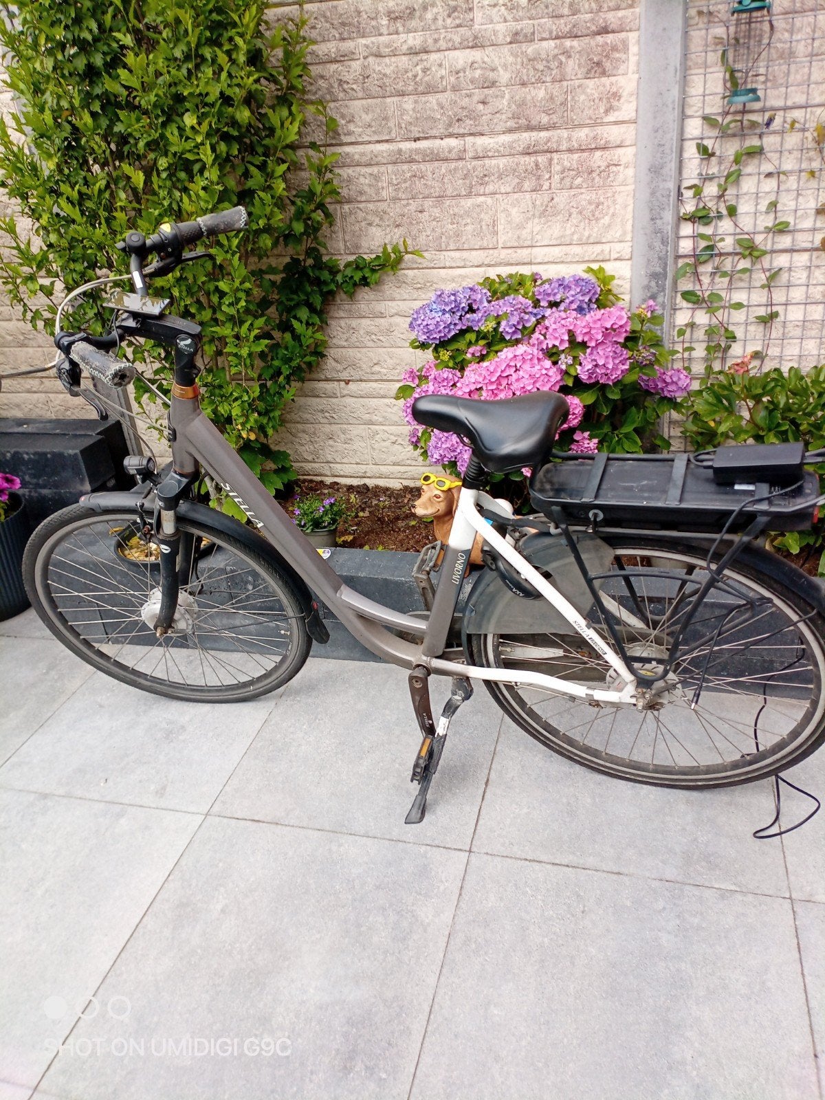Stella e bike, 51 tot 55 cm, Ophalen, Gebruikt, Overige merken