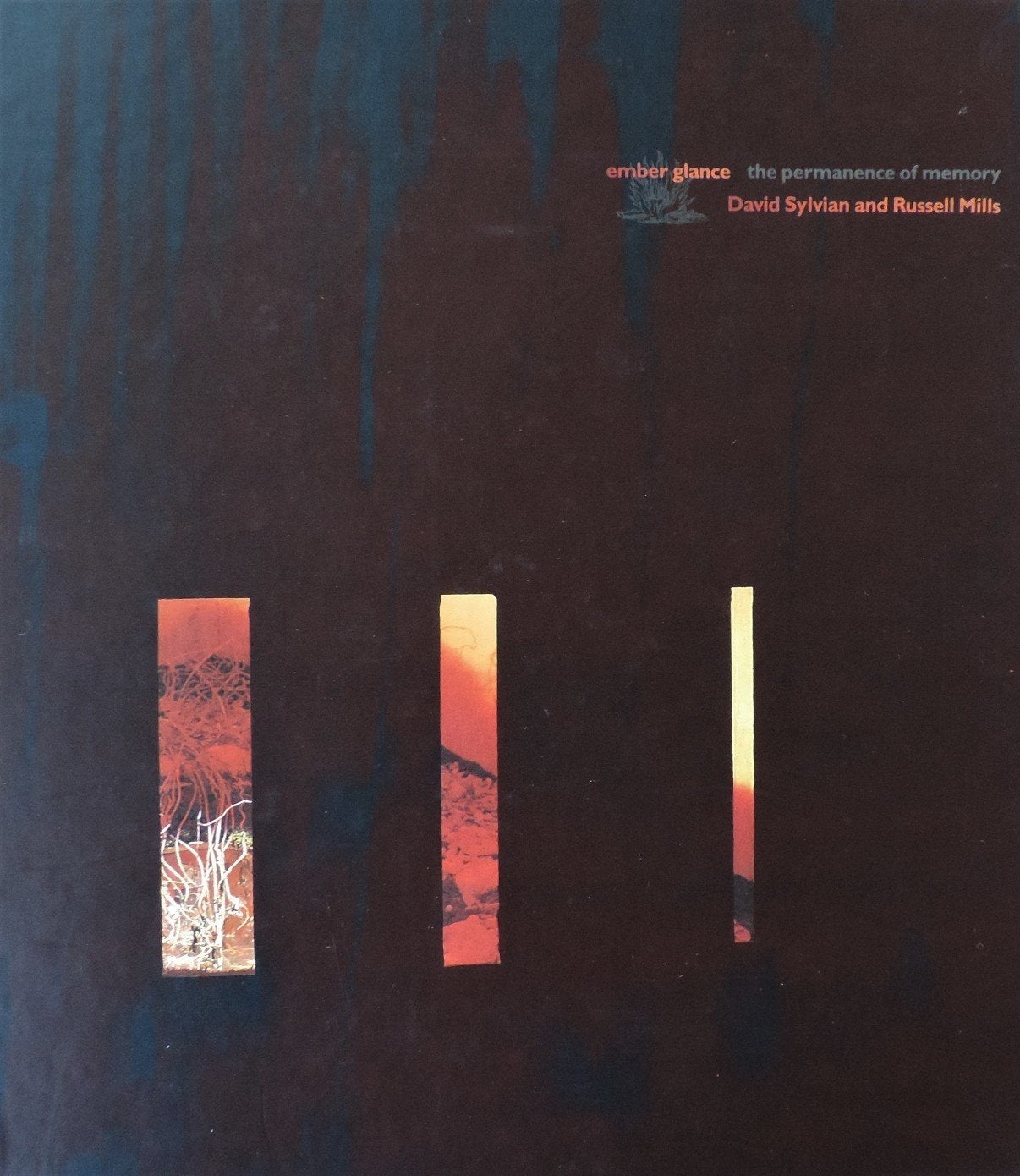 Ember Glance David Sylvian, Ophalen of Verzenden, Zo goed als nieuw, Overige formaten, Poprock