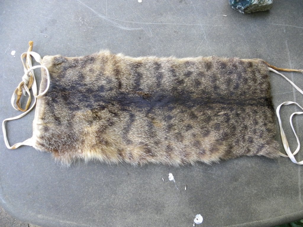 Bont borstlap? Duitse boskat, Ophalen of Verzenden