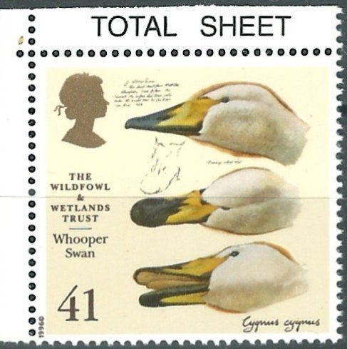 ENGELAND 1996 41p. Whooper Swan – Vogel, Michel: 1619, Postf, Verzenden, Postfris, Dier of Natuur