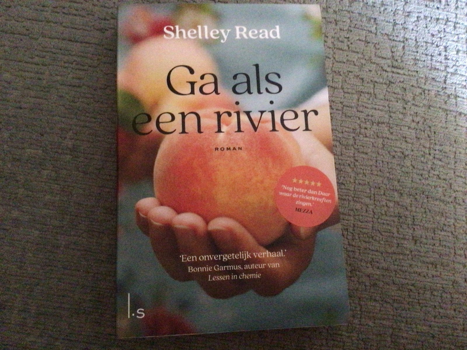 Ga als een rivier - Shelley Read (Roman), Ophalen of Verzenden, Gelezen, Amerika