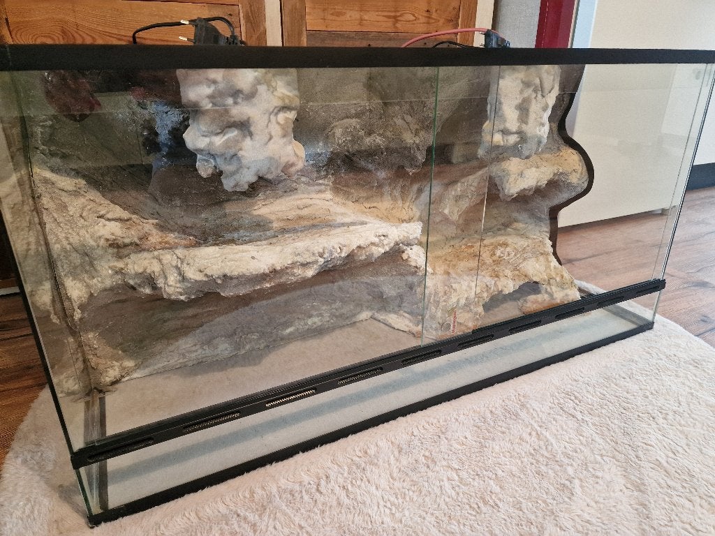 Terrarium met 3D achterwand 100x40x50, Ophalen, Gebruikt, Terrarium of Paludarium