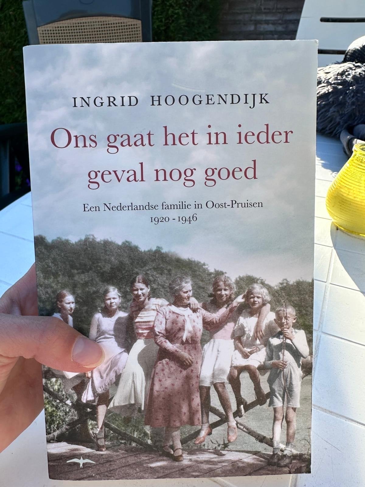 Ons gaat het in ieder geval nog goed - Ingrid Hoogendijk, Boeken, Ophalen of Verzenden, 20e eeuw of later, Zo goed als nieuw