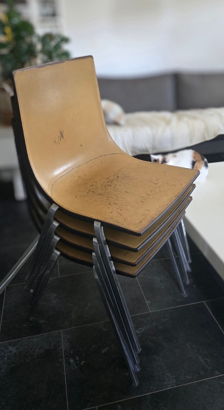 4 stoelen Roberto Barbieri (1942), Ophalen