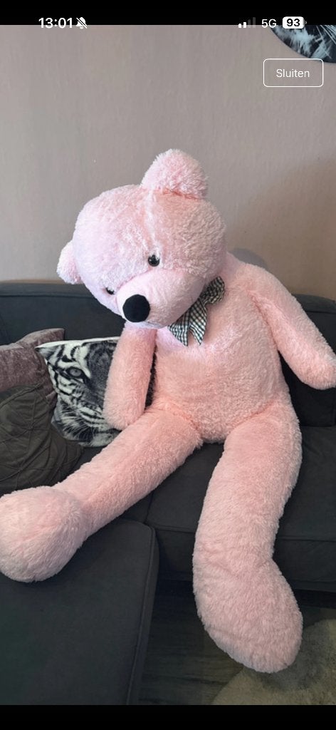 Reuze teddybeer 160cm roze, Ophalen, Overige merken, Overige karakters, Beer
